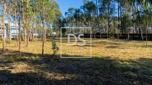 Terreno R�stico T0 - Apulia, Esposende, Braga - Miniatura: 5/6