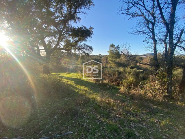 Terreno Rústico T0 - Penamacor, Penamacor, Castelo Branco - Imagem grande