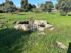 Terreno Rstico T0 - Escalos de Baixo, Castelo Branco, Castelo Branco