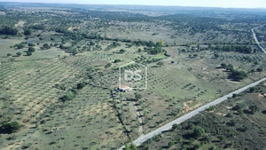 Terreno Urbano T0 - Ladoeiro, Idanha-a-Nova, Castelo Branco - Miniatura: 3/24