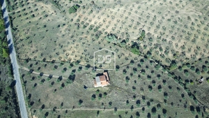 Terreno Urbano T0 - Ladoeiro, Idanha-a-Nova, Castelo Branco - Miniatura: 4/24