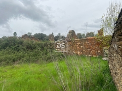 Terreno Rstico T1 - Monfortinho, Idanha-a-Nova, Castelo Branco - Miniatura: 4/7