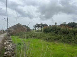 Terreno Rstico T1 - Monfortinho, Idanha-a-Nova, Castelo Branco - Miniatura: 5/7