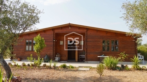 Terreno Rstico T3 - Escalos de Cima, Castelo Branco, Castelo Branco - Miniatura: 4/19