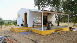 Terreno Rstico T3 - Escalos de Cima, Castelo Branco, Castelo Branco - Miniatura: 15/19