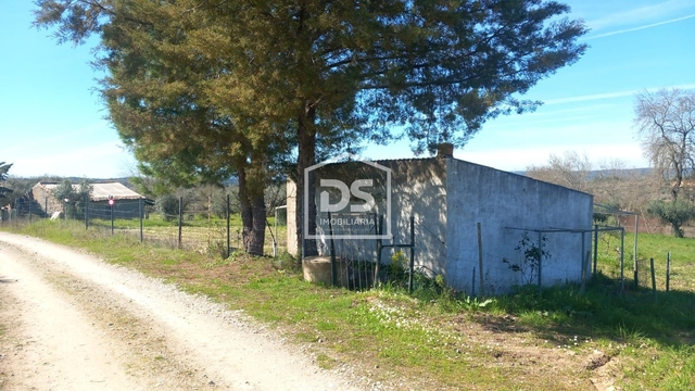 Terreno Rstico T0 - Ladoeiro, Idanha-a-Nova, Castelo Branco - Imagem grande