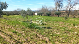 Terreno Rstico T0 - Ladoeiro, Idanha-a-Nova, Castelo Branco - Miniatura: 1/9