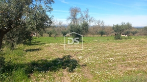 Terreno Rstico T0 - Ladoeiro, Idanha-a-Nova, Castelo Branco - Miniatura: 3/9