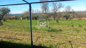 Terreno Rstico T0 - Ladoeiro, Idanha-a-Nova, Castelo Branco - Miniatura: 5/9