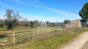 Terreno Rstico T0 - Ladoeiro, Idanha-a-Nova, Castelo Branco - Miniatura: 8/9