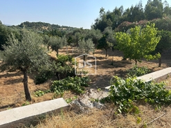 Quinta T0 - Ninho do Aor, Castelo Branco, Castelo Branco - Miniatura: 2/24