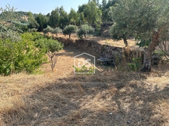 Quinta T0 - Ninho do Aor, Castelo Branco, Castelo Branco - Miniatura: 10/24