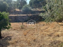 Quinta T0 - Ninho do Aor, Castelo Branco, Castelo Branco - Miniatura: 14/24