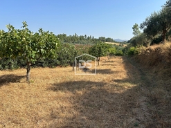 Quinta T0 - Ninho do Aor, Castelo Branco, Castelo Branco - Miniatura: 18/24