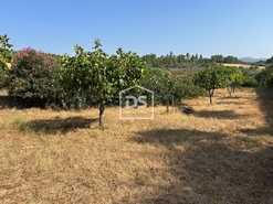 Quinta T0 - Ninho do Aor, Castelo Branco, Castelo Branco - Miniatura: 19/24