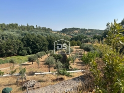 Quinta T0 - Ninho do Aor, Castelo Branco, Castelo Branco - Miniatura: 20/24