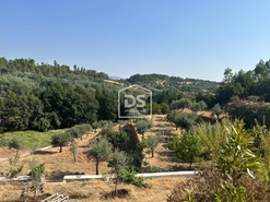 Quinta T0 - Ninho do Aor, Castelo Branco, Castelo Branco - Miniatura: 21/24