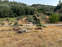 Quinta T0 - Ninho do Aor, Castelo Branco, Castelo Branco - Miniatura: 22/24