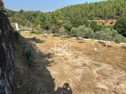 Quinta T0 - Ninho do Aor, Castelo Branco, Castelo Branco - Miniatura: 23/24