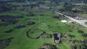 Terreno Rstico T0 - Alcains, Castelo Branco, Castelo Branco - Miniatura: 6/24