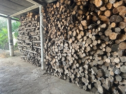 Ind�stria T0 - Monforte da Beira, Castelo Branco, Castelo Branco - Miniatura: 8/24