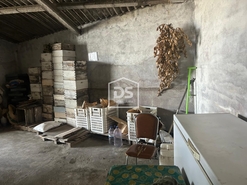 Ind�stria T0 - Monforte da Beira, Castelo Branco, Castelo Branco - Miniatura: 19/24