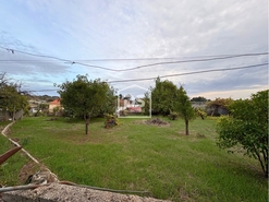 Terreno R�stico T0 - Escalos de Baixo, Castelo Branco, Castelo Branco - Miniatura: 11/24