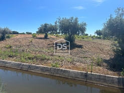 Terreno Rstico T0 - Ladoeiro, Idanha-a-Nova, Castelo Branco