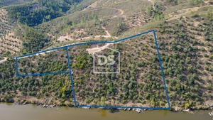 Terreno Rstico T0 - Sarzedas, Castelo Branco, Castelo Branco