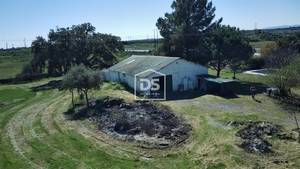 Moradia T3 - Alcains, Castelo Branco, Castelo Branco - Miniatura: 10/24