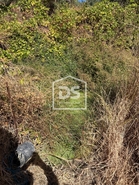 Moradia T0 - Malpica do Tejo, Castelo Branco, Castelo Branco - Miniatura: 9/19