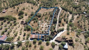 Moradia T0 - Malpica do Tejo, Castelo Branco, Castelo Branco - Miniatura: 14/19