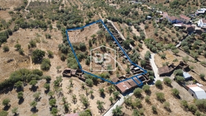 Moradia T0 - Malpica do Tejo, Castelo Branco, Castelo Branco - Miniatura: 15/19