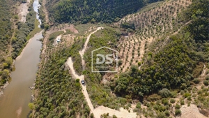 Terreno Rstico T0 - Sarzedas, Castelo Branco, Castelo Branco - Miniatura: 3/8