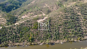 Terreno Rstico T0 - Sarzedas, Castelo Branco, Castelo Branco - Miniatura: 6/8