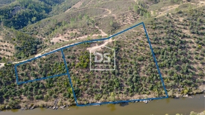 Terreno Rstico T0 - Sarzedas, Castelo Branco, Castelo Branco - Miniatura: 7/8