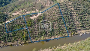 Terreno Rstico T0 - Sarzedas, Castelo Branco, Castelo Branco - Miniatura: 8/8