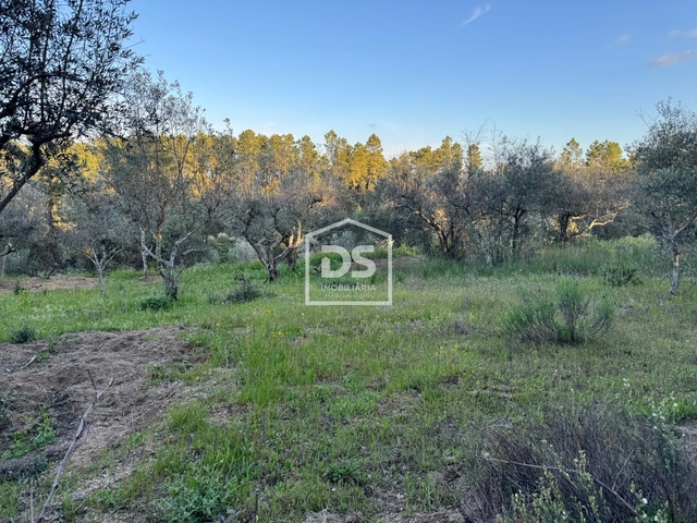 Terreno Rstico T0 - Tinalhas, Castelo Branco, Castelo Branco - Imagem grande