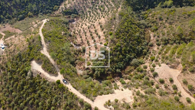 Terreno Rstico T0 - Sarzedas, Castelo Branco, Castelo Branco - Imagem grande
