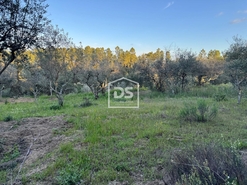 Terreno Rstico T0 - Tinalhas, Castelo Branco, Castelo Branco