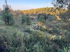 Terreno Rstico T0 - Tinalhas, Castelo Branco, Castelo Branco - Miniatura: 4/22