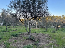 Terreno Rstico T0 - Tinalhas, Castelo Branco, Castelo Branco - Miniatura: 6/22