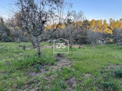 Terreno Rstico T0 - Tinalhas, Castelo Branco, Castelo Branco - Miniatura: 7/22