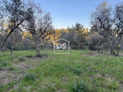 Terreno Rstico T0 - Tinalhas, Castelo Branco, Castelo Branco - Miniatura: 8/22