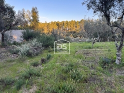 Terreno Rstico T0 - Tinalhas, Castelo Branco, Castelo Branco - Miniatura: 9/22