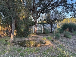 Terreno Rstico T0 - Tinalhas, Castelo Branco, Castelo Branco - Miniatura: 10/22