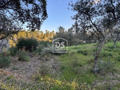 Terreno Rstico T0 - Tinalhas, Castelo Branco, Castelo Branco - Miniatura: 11/22