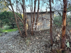 Terreno Rstico T0 - Tinalhas, Castelo Branco, Castelo Branco - Miniatura: 12/22