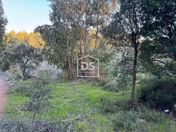 Terreno Rstico T0 - Tinalhas, Castelo Branco, Castelo Branco - Miniatura: 14/22