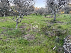 Terreno Rstico T0 - Tinalhas, Castelo Branco, Castelo Branco - Miniatura: 15/22